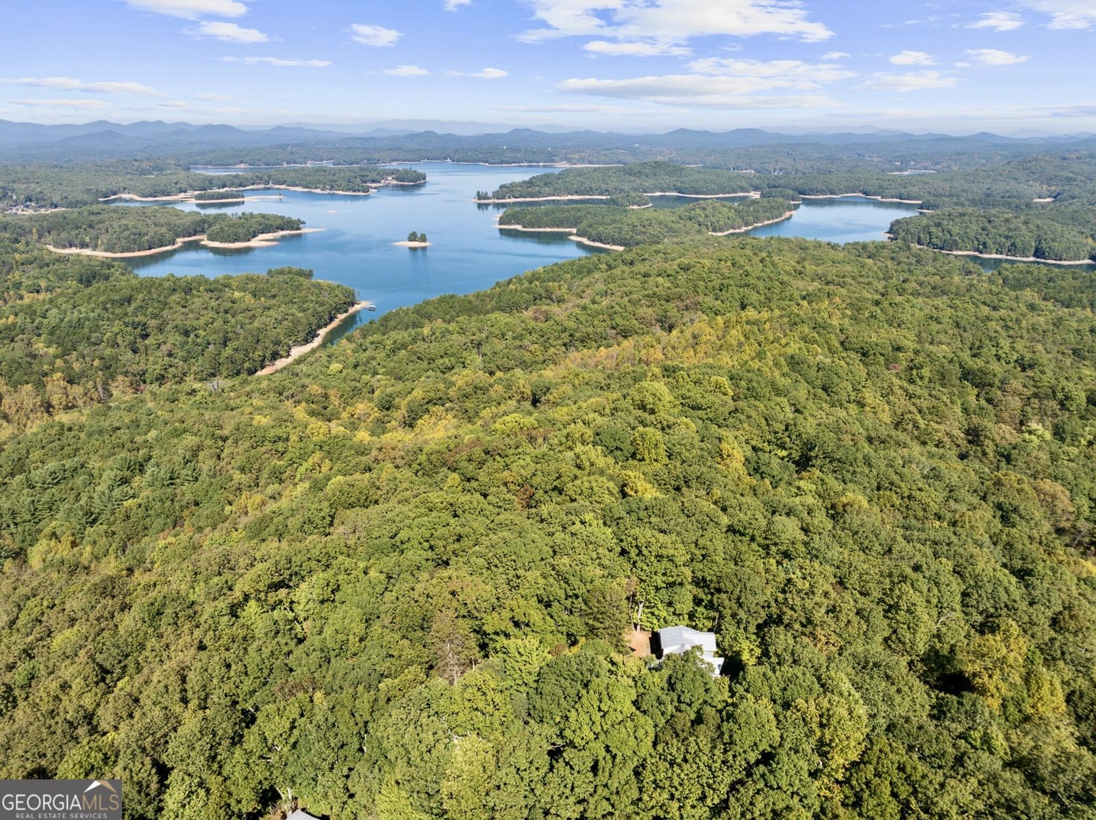 1052 Green Ridge Road Blue Ridge - Photo 39