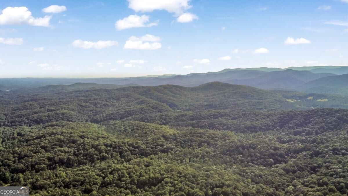 79 N Dream Catcher Blue Ridge - Photo 33