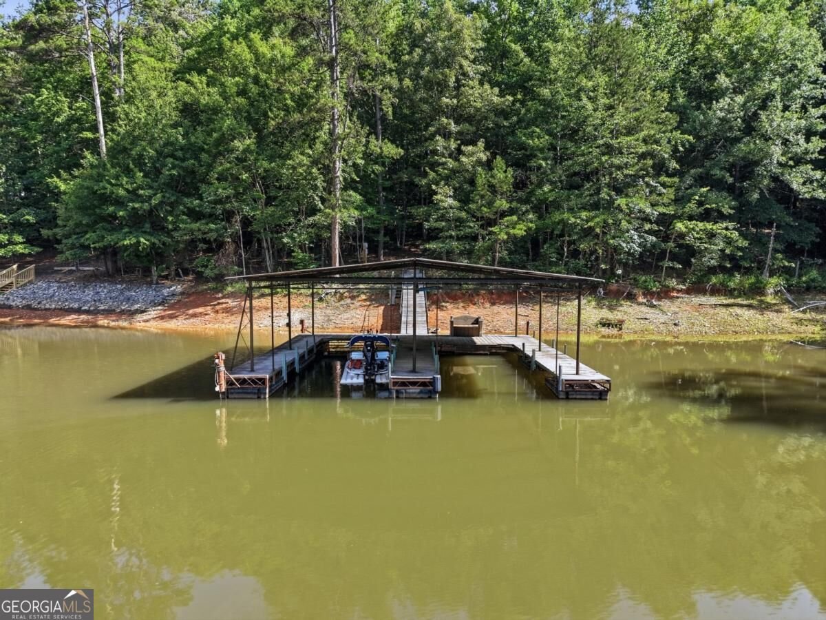 380 Fredricks Cove Dawsonville - Photo 49