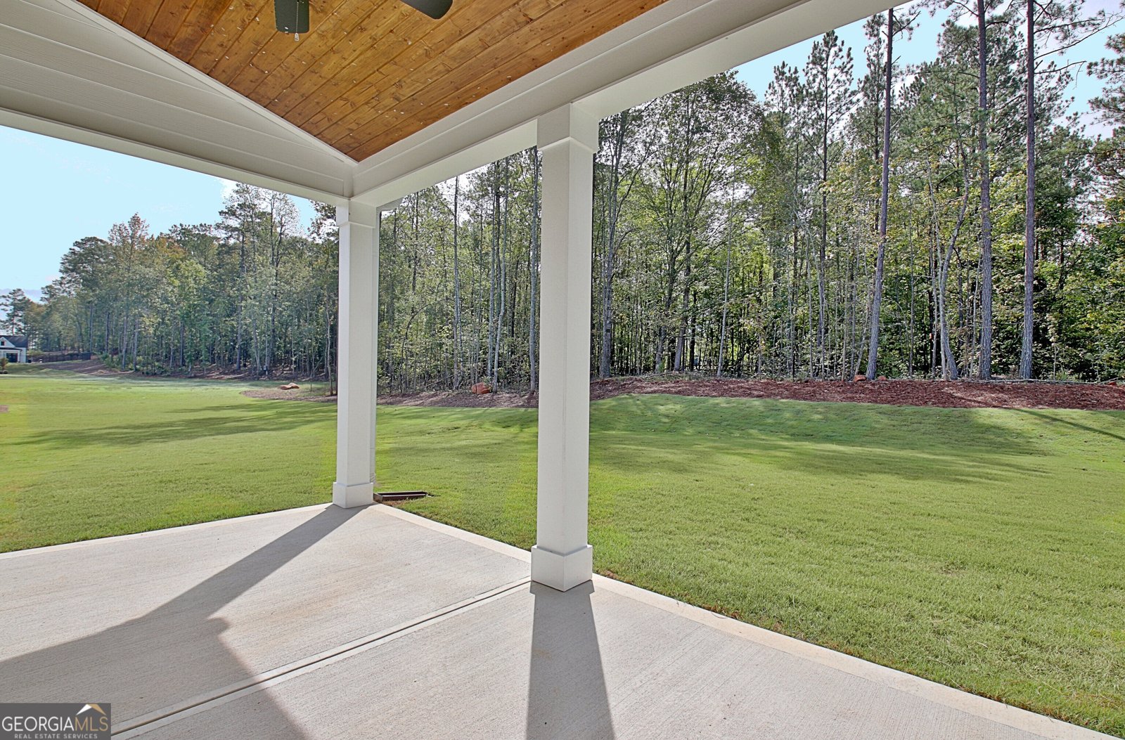 188 Ryeland Drive Senoia - Photo 77