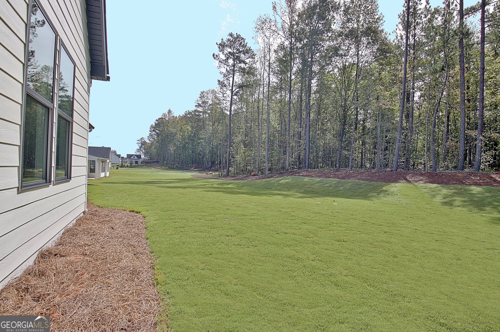 188 Ryeland Drive Senoia - Photo 84