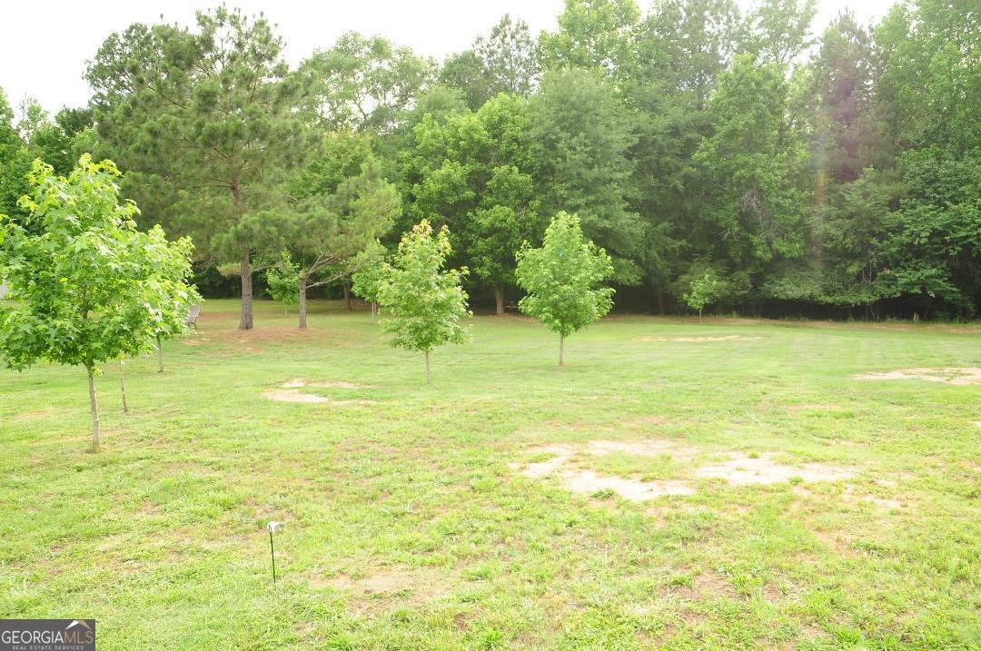 1215 Awenasa Drive Villa Rica - Photo 36