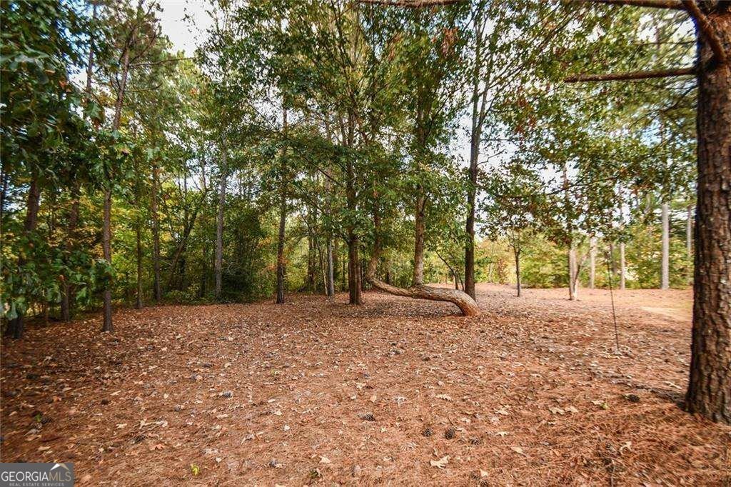 105 Freedom Drive Forsyth - Photo 64