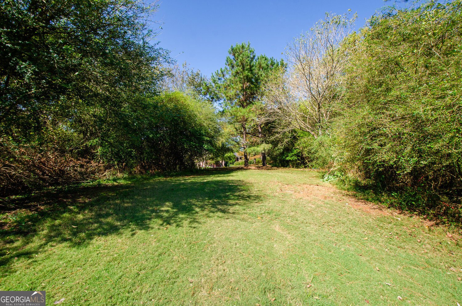 309 Haley Farm Court Canton - Photo 65