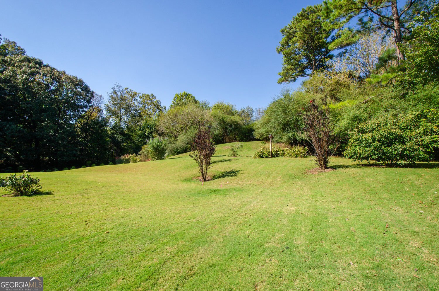 309 Haley Farm Court Canton - Photo 68