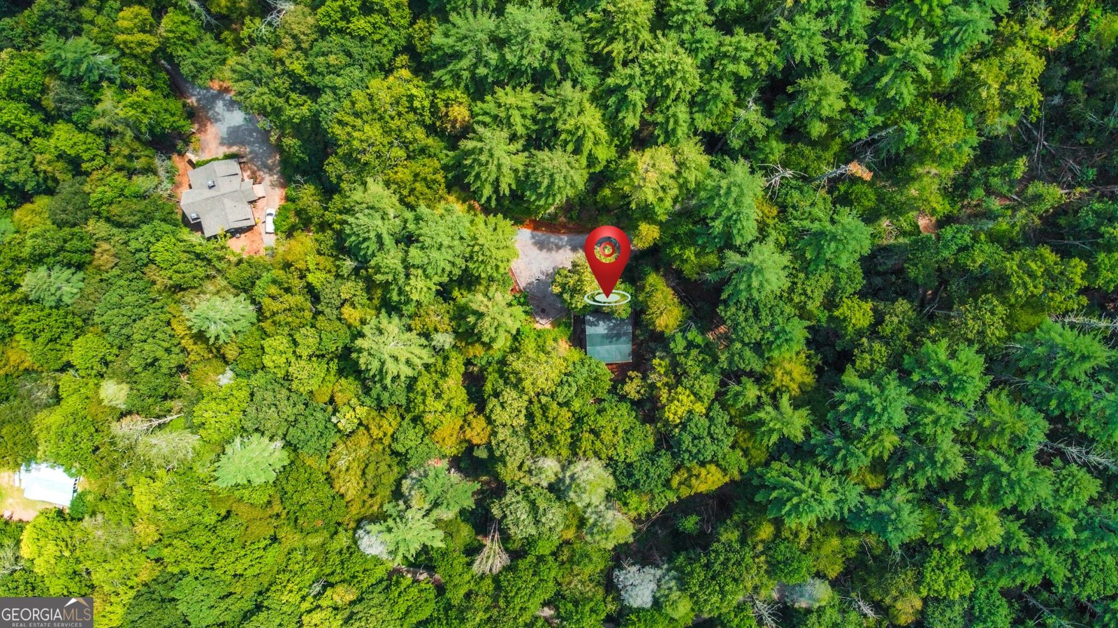 453 Flat Creek Crossing Blue Ridge - Photo 48