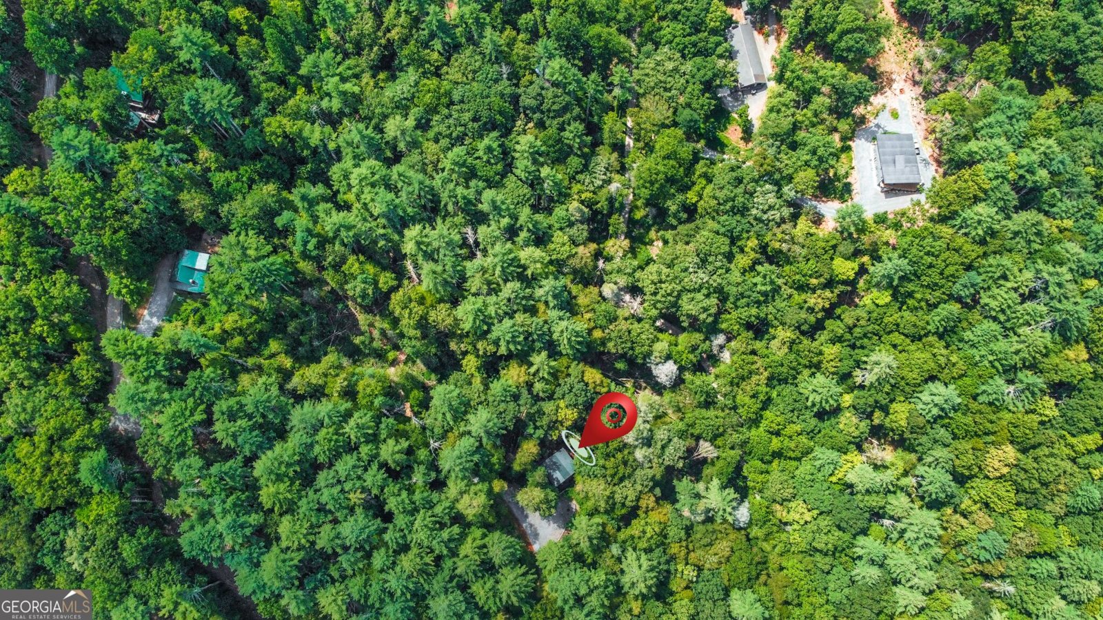 453 Flat Creek Crossing Blue Ridge - Photo 49