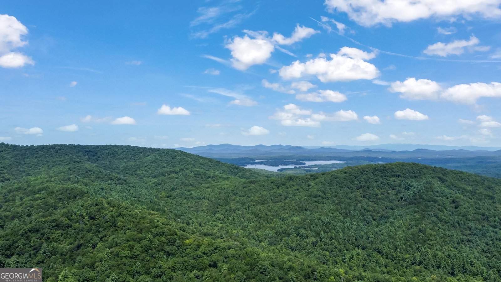 453 Flat Creek Crossing Blue Ridge - Photo 50