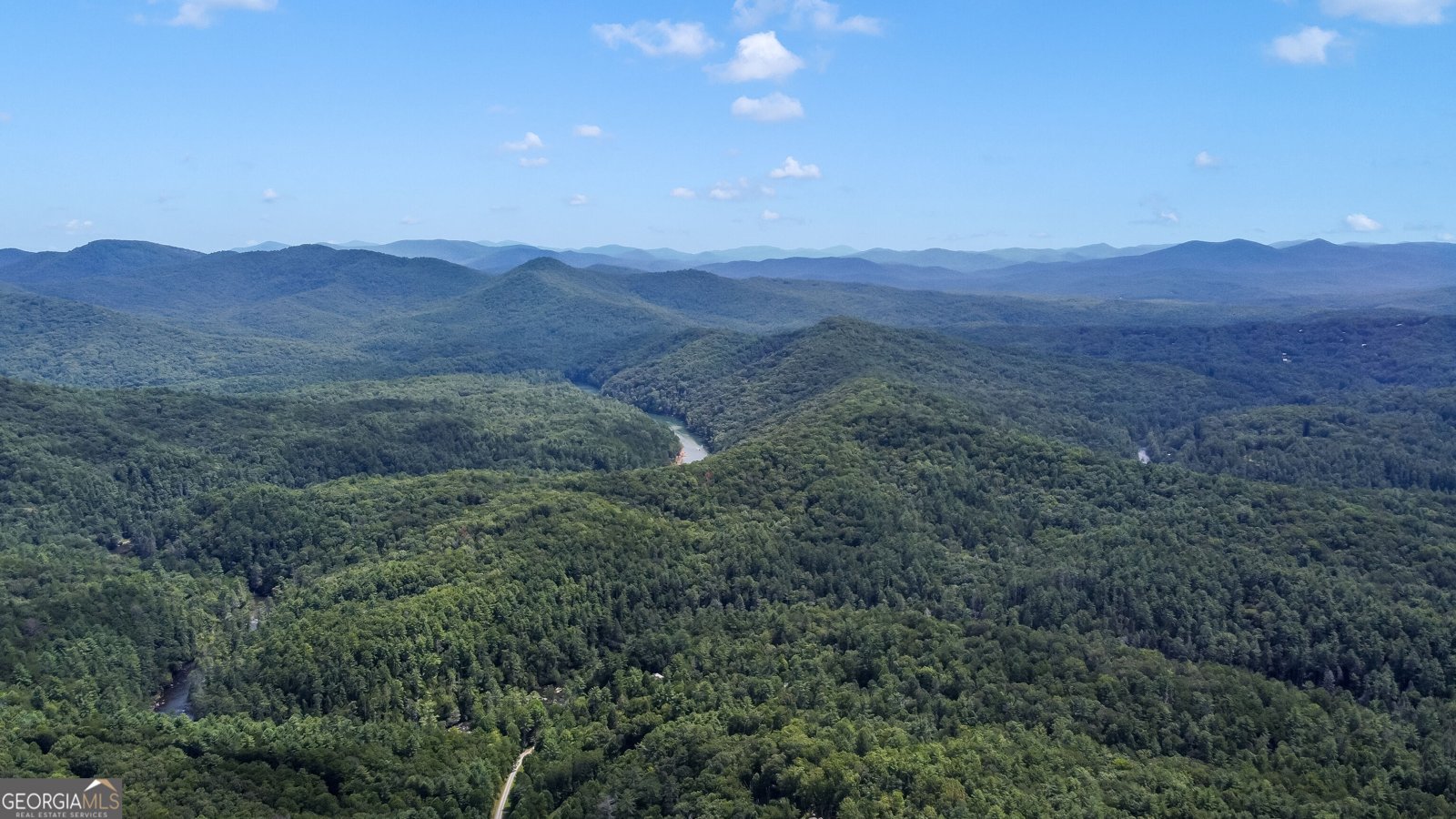 453 Flat Creek Crossing Blue Ridge - Photo 51