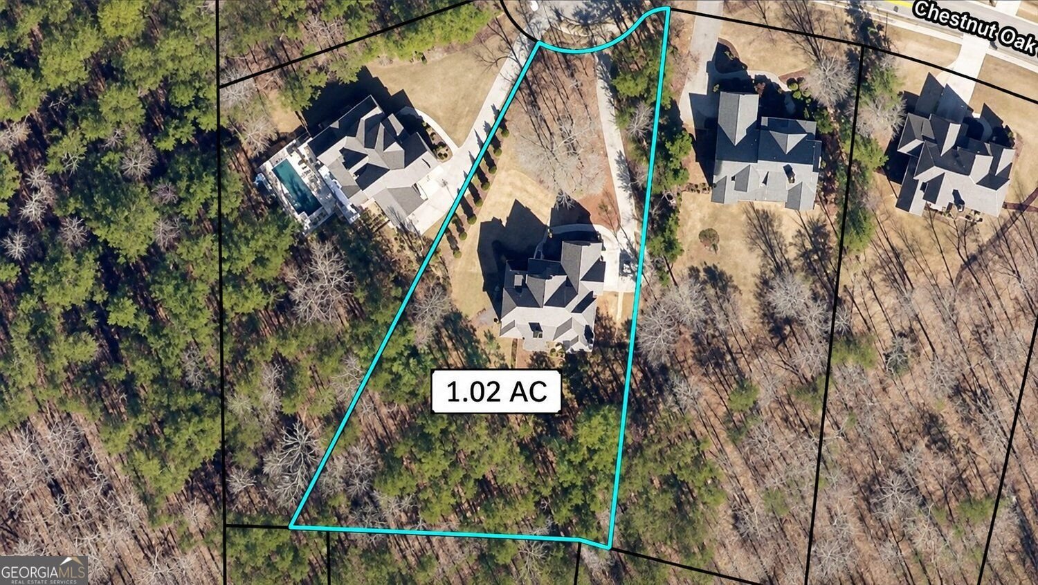 267 Chestnut Oak Dawsonville - Photo 82