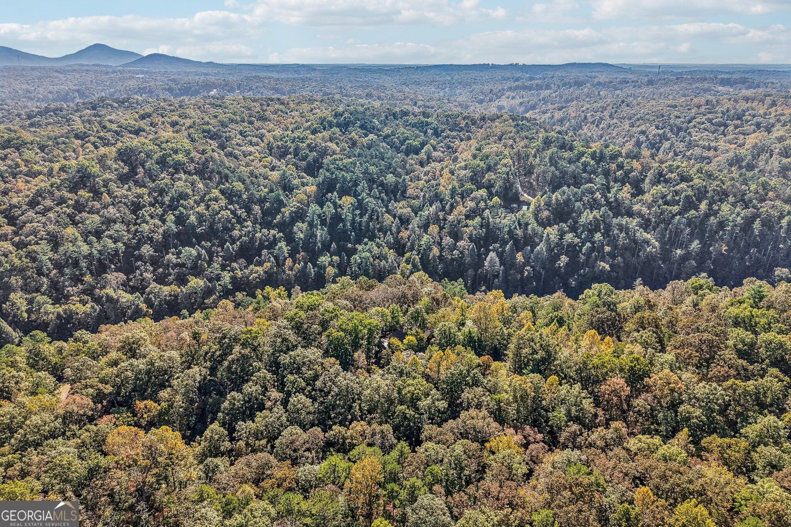 120 Bear Den Road Dahlonega - Photo 94