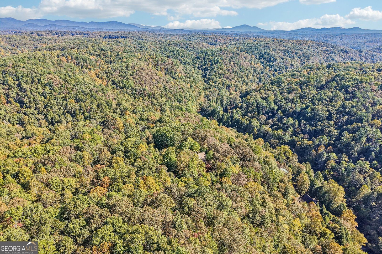 120 Bear Den Road Dahlonega - Photo 95