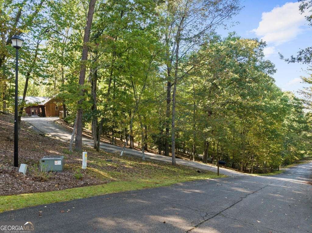 82 Queens Lane Blue Ridge - Photo 43