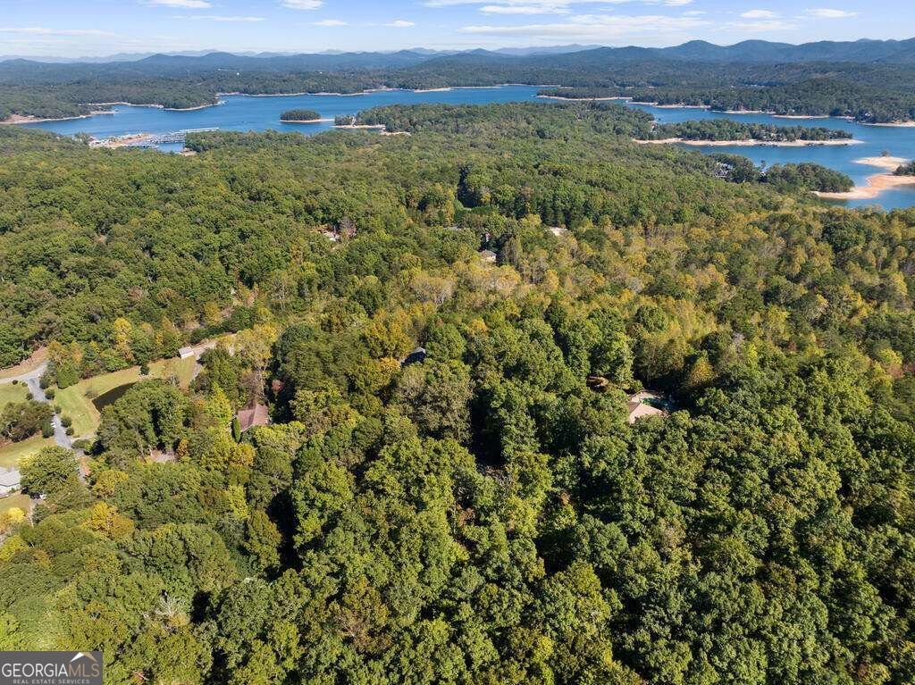 82 Queens Lane Blue Ridge - Photo 45
