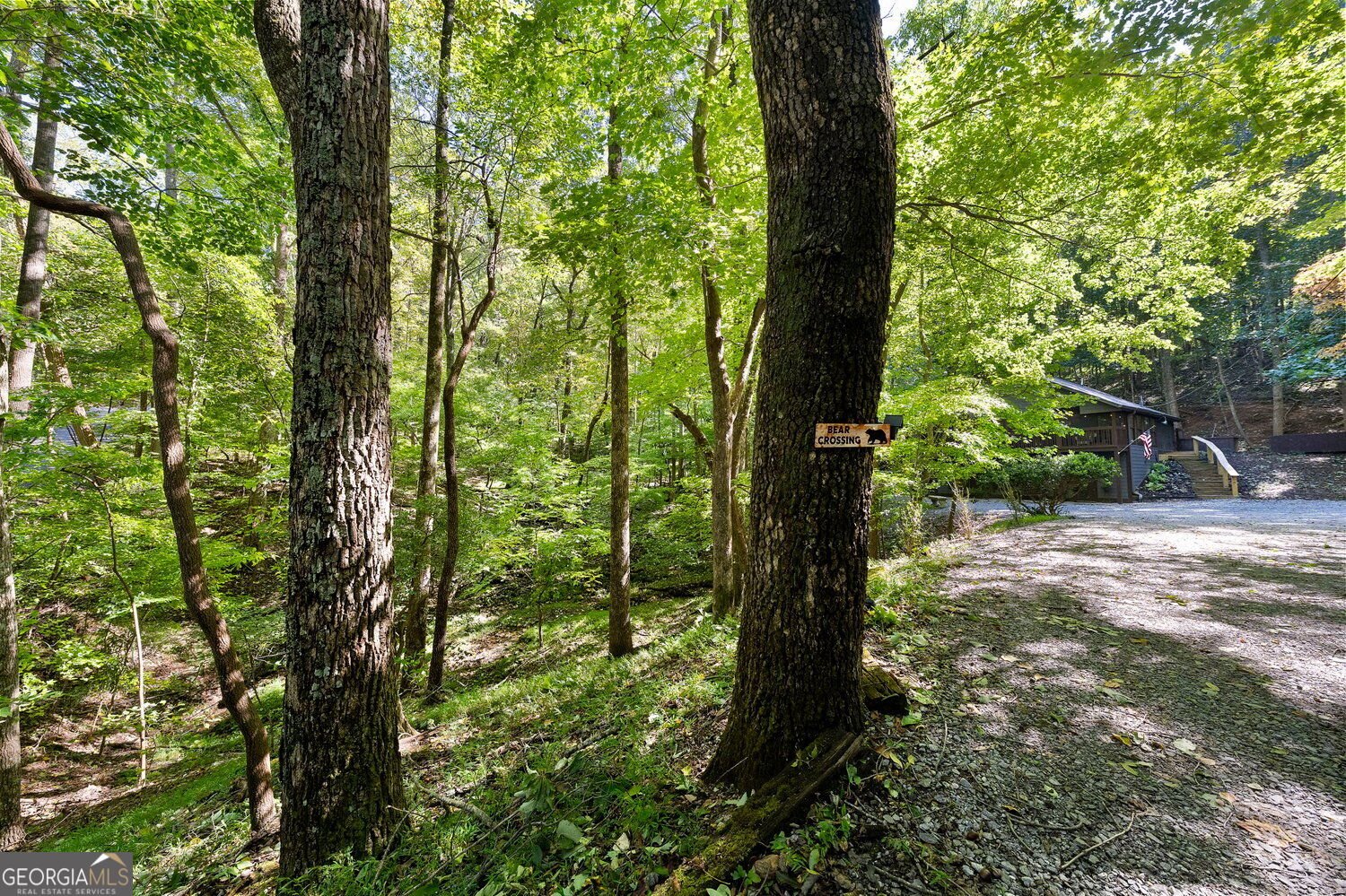 300 Frost Pine Circle Jasper - Photo 42