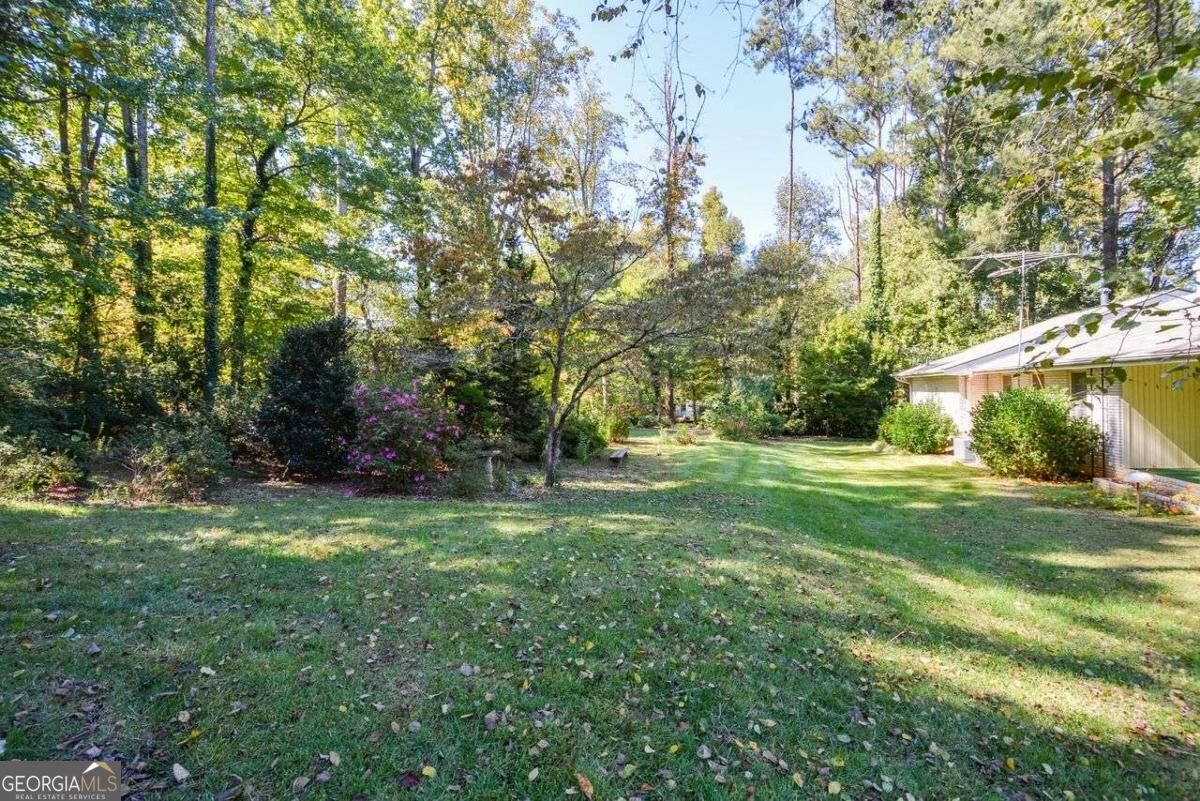 3020 Laura Lane Lithia Springs - Photo 36