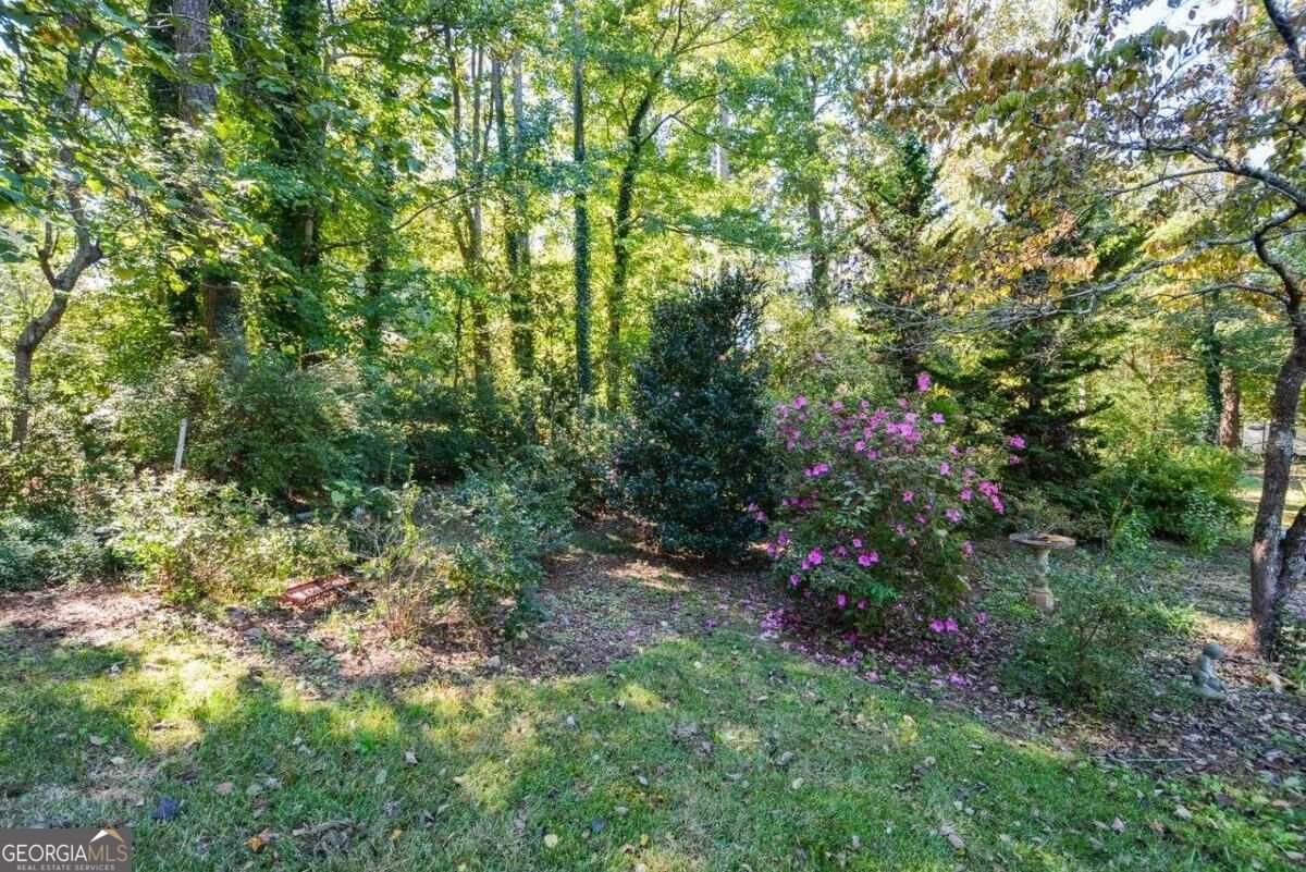 3020 Laura Lane Lithia Springs - Photo 44