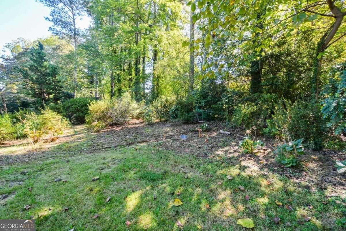 3020 Laura Lane Lithia Springs - Photo 45