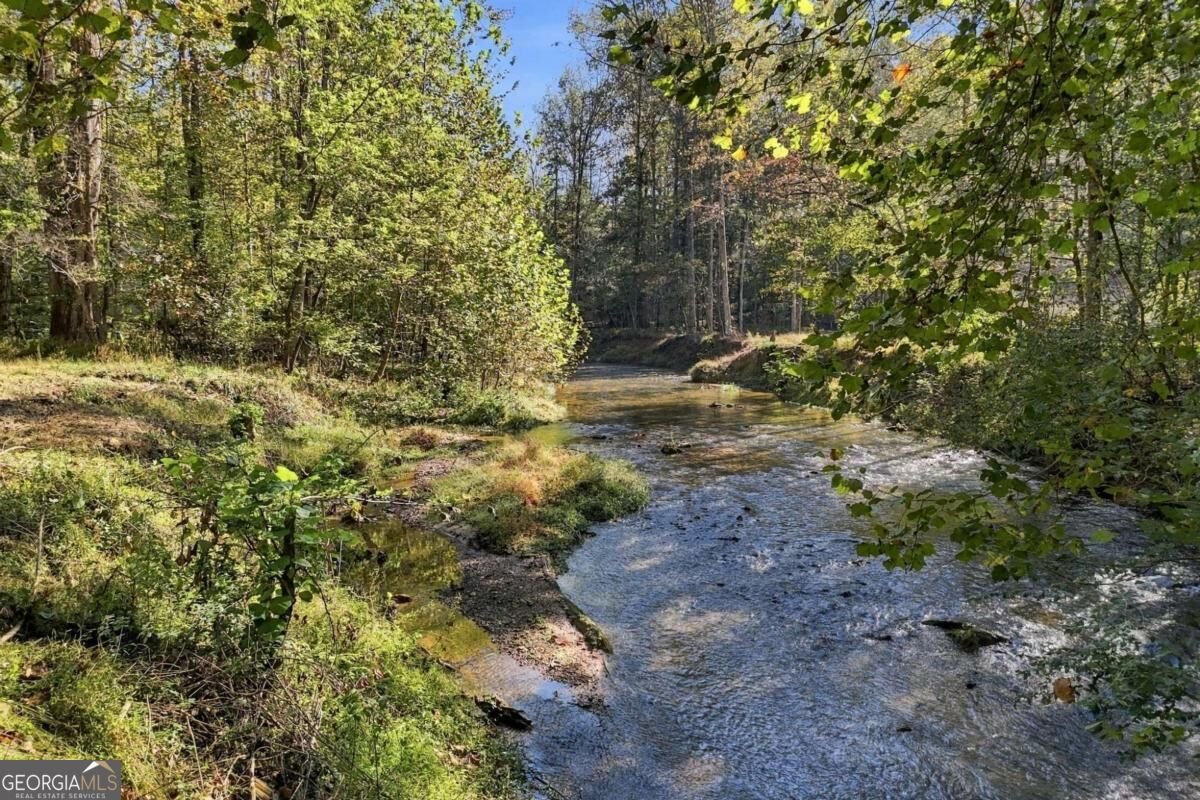 372 Misty Valley Lane Ellijay - Photo 45