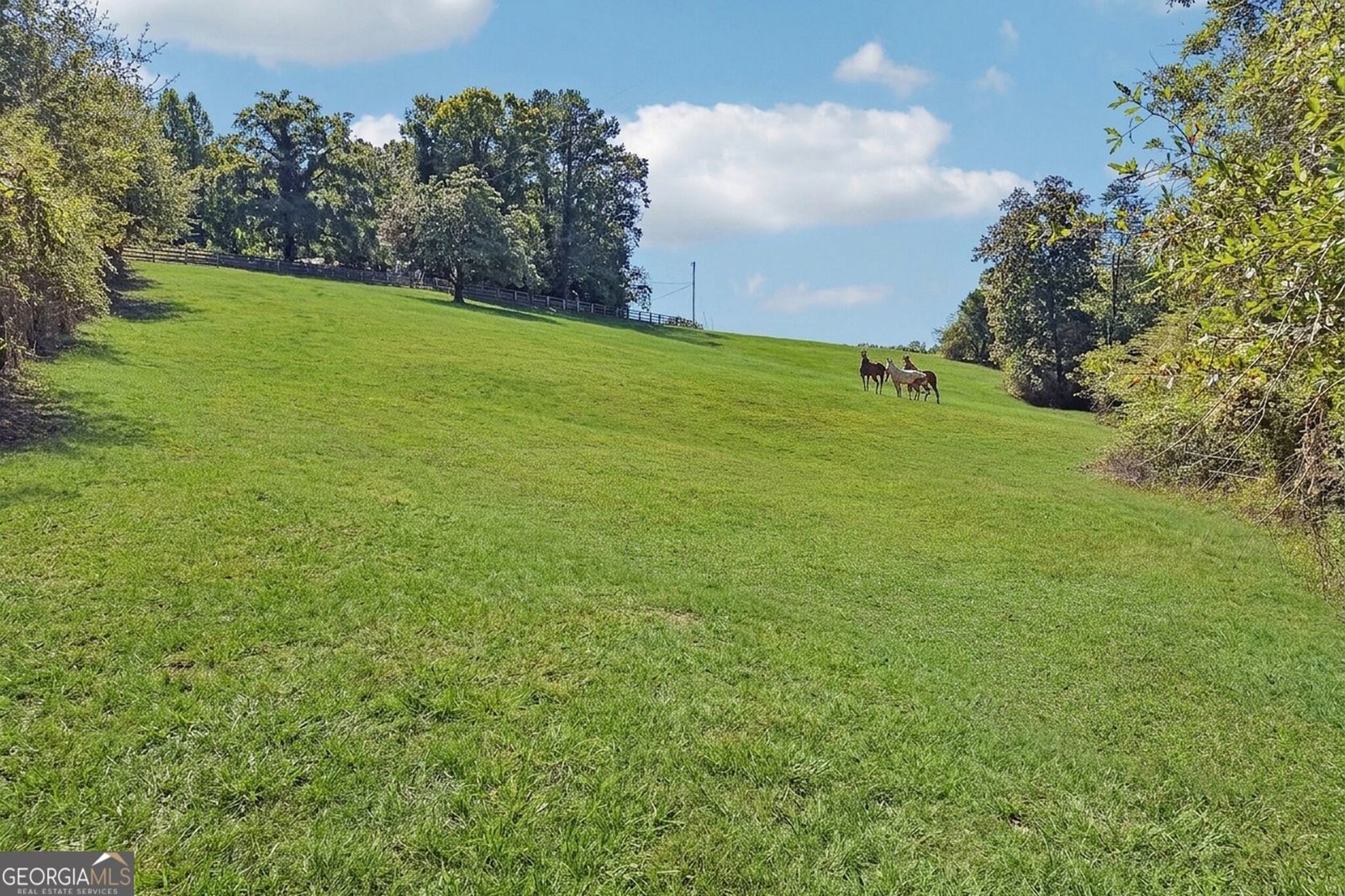 231 Hatfield Grove Dahlonega - Photo 13