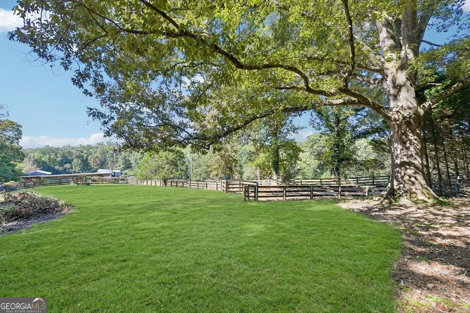 231 Hatfield Grove Dahlonega - Photo 16