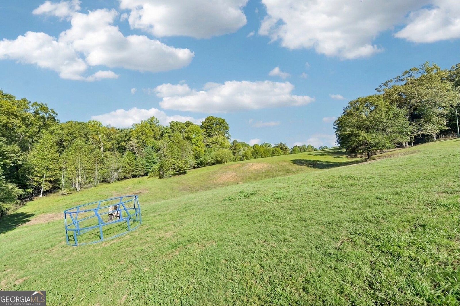 231 Hatfield Grove Dahlonega - Photo 22
