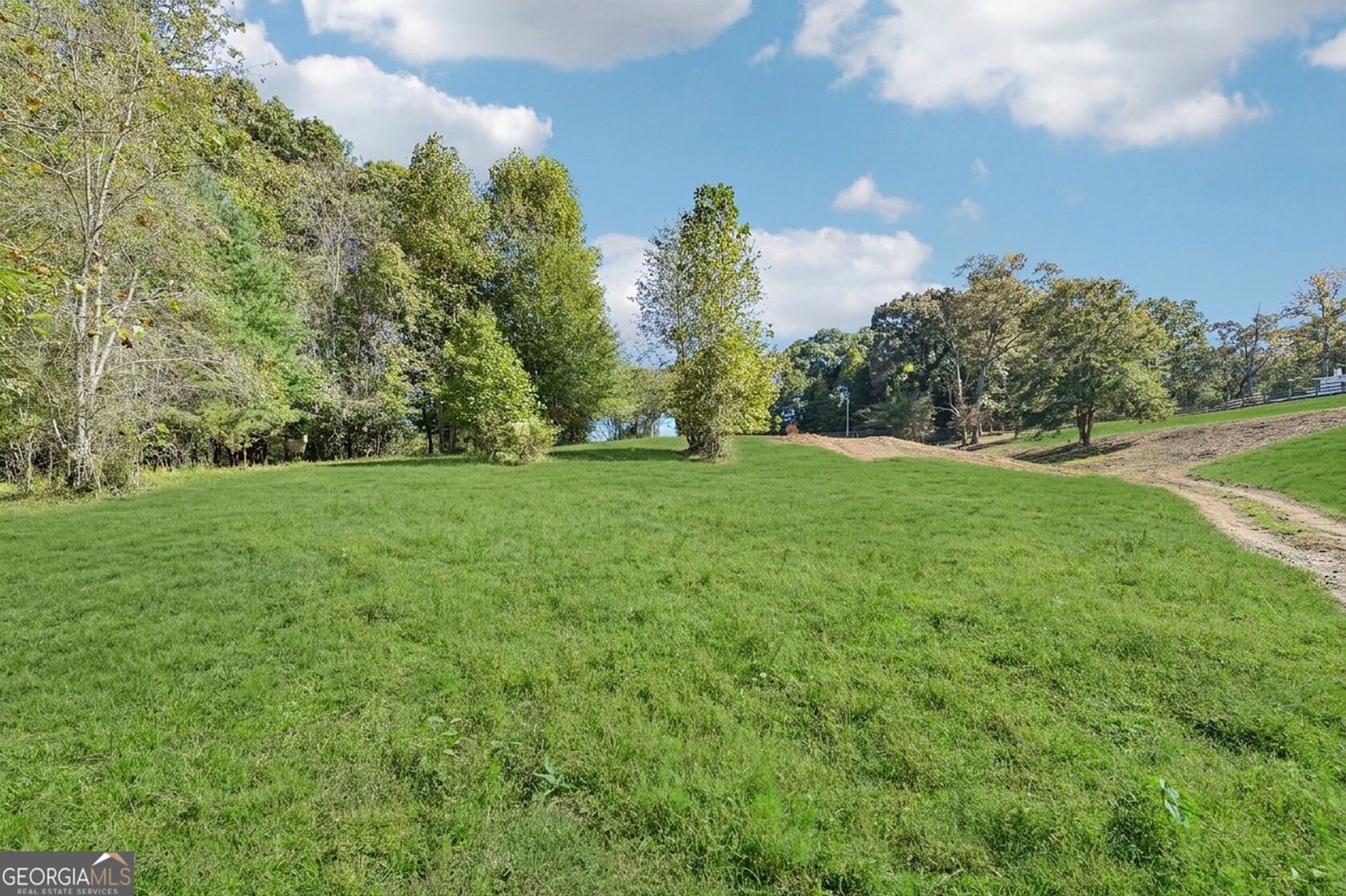 231 Hatfield Grove Dahlonega - Photo 23