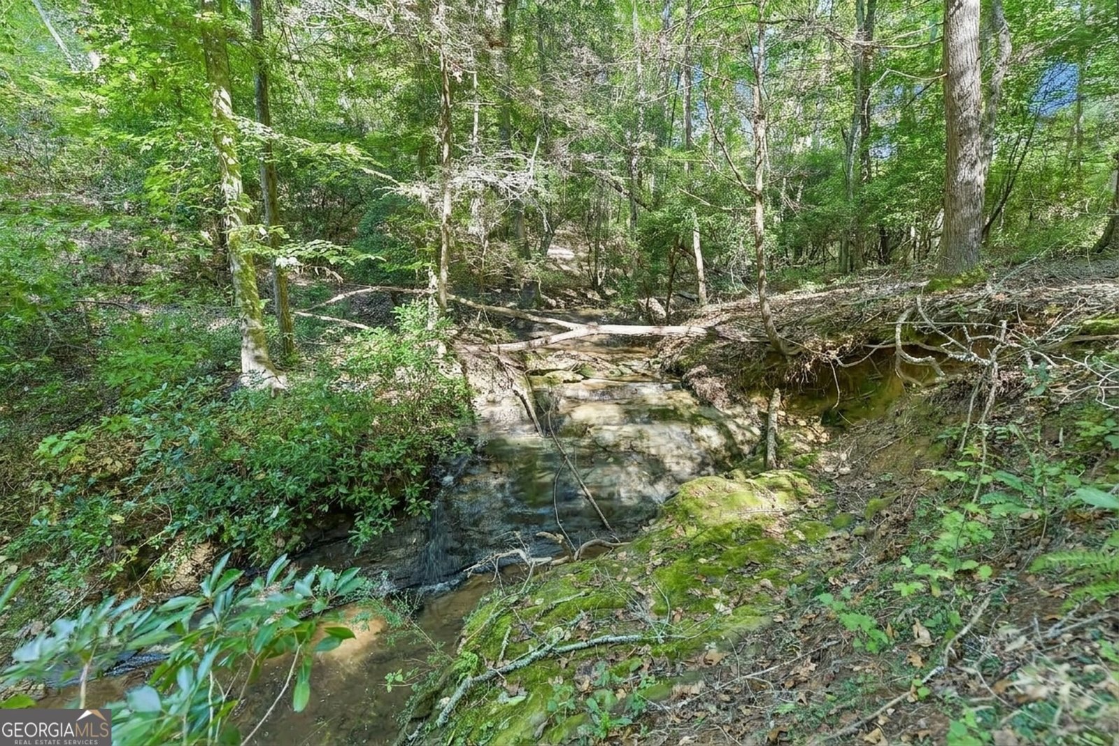 231 Hatfield Grove Dahlonega - Photo 43