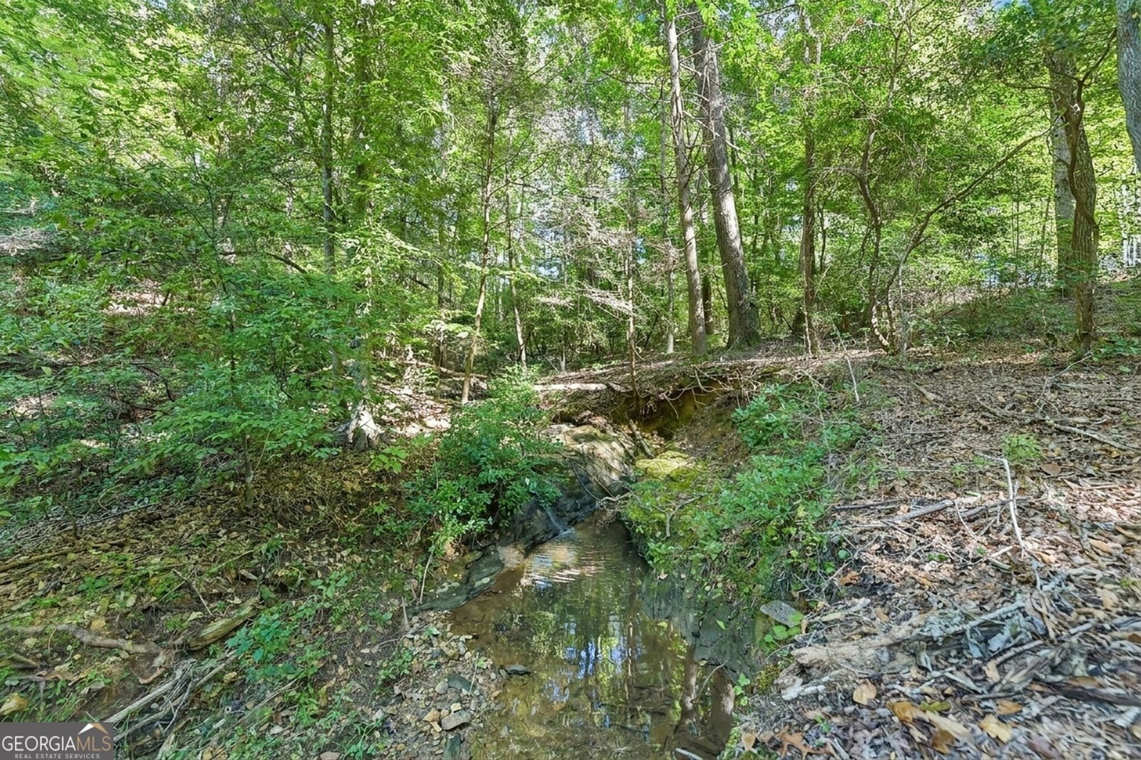231 Hatfield Grove Dahlonega - Photo 44