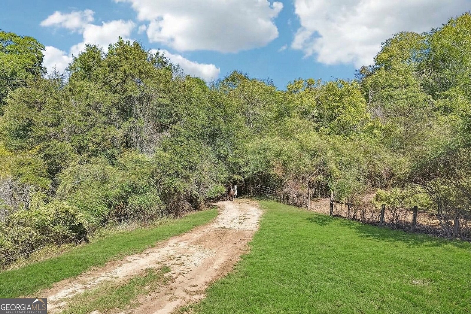 231 Hatfield Grove Dahlonega - Photo 59