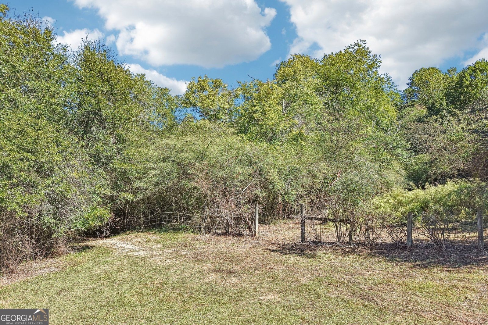 231 Hatfield Grove Dahlonega - Photo 61