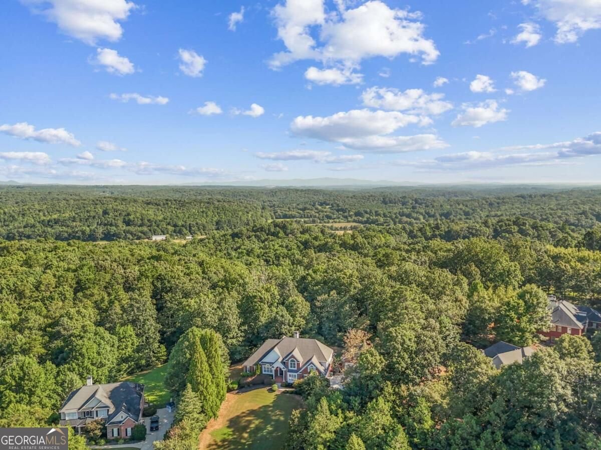 402 Mountain Point Canton - Photo 33