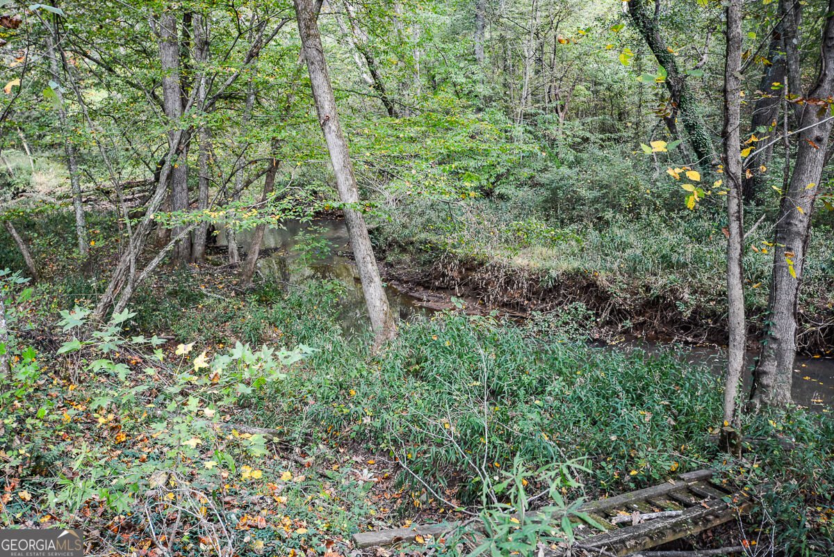 5256 Olde Mill Drive Woodstock - Photo 41