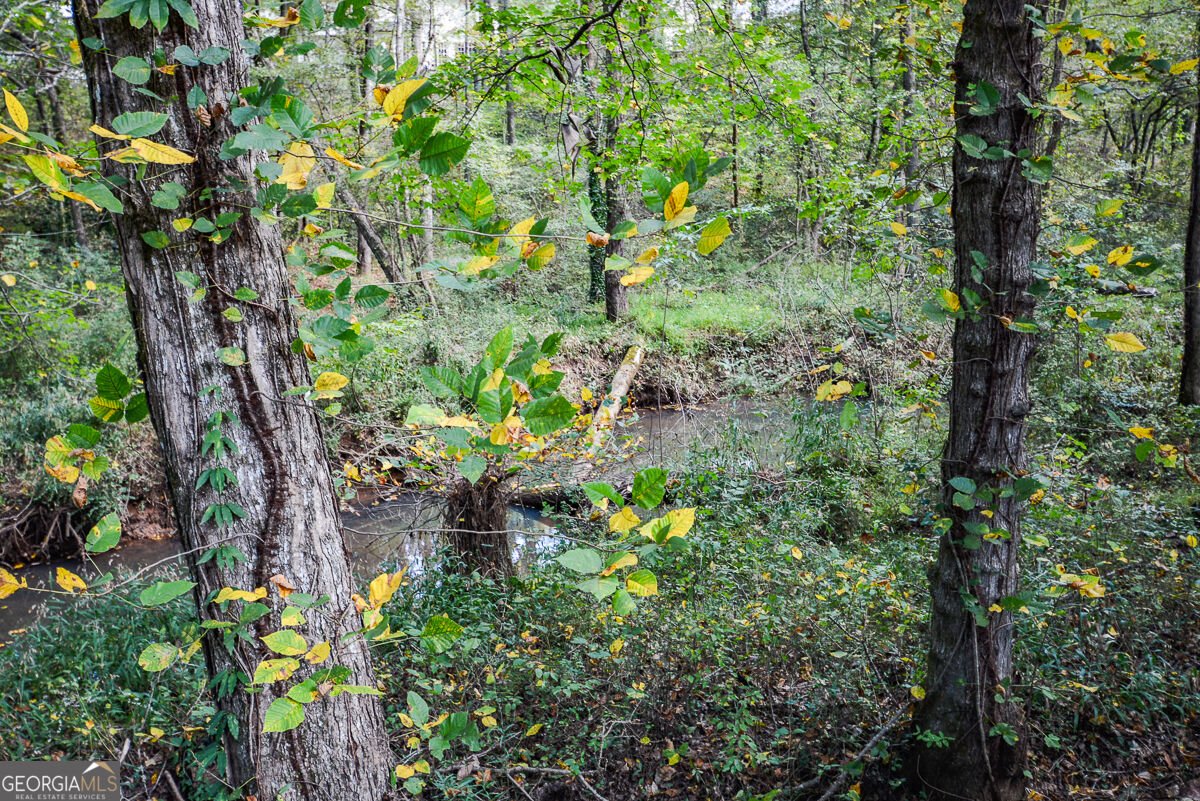 5256 Olde Mill Drive Woodstock - Photo 42