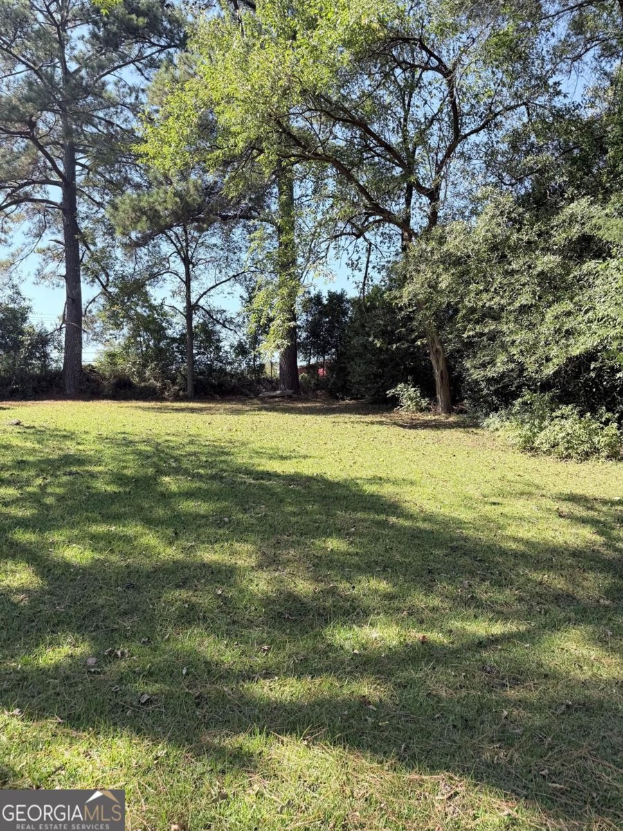 803 Charlton Street Milledgeville - Photo 36