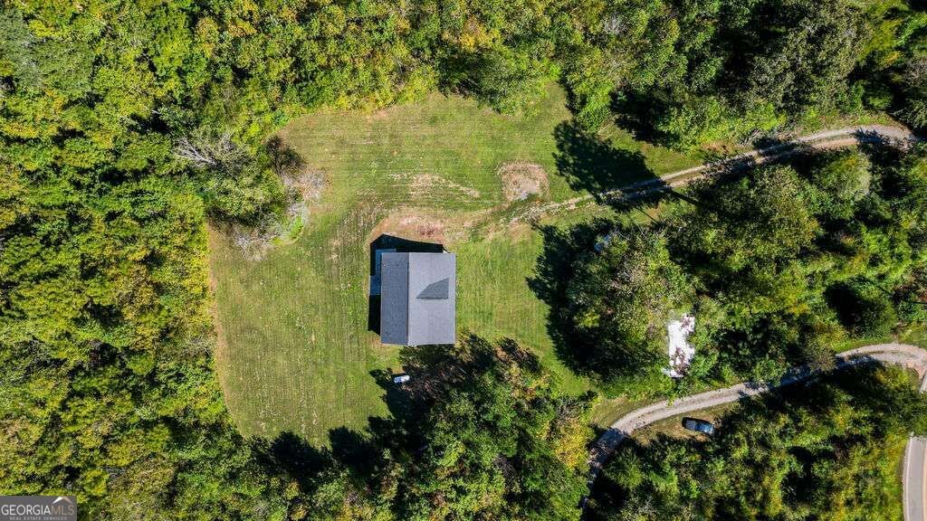 161 Roscoe Collette Road Dawsonville - Photo 27