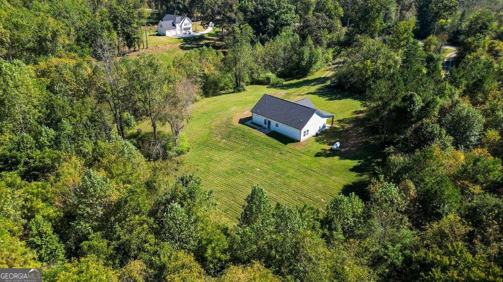 161 Roscoe Collette Road Dawsonville - Photo 28