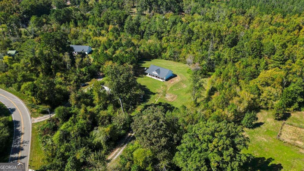 161 Roscoe Collette Road Dawsonville - Photo 29
