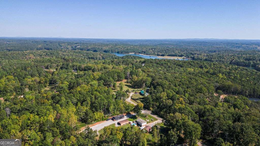 161 Roscoe Collette Road Dawsonville - Photo 30