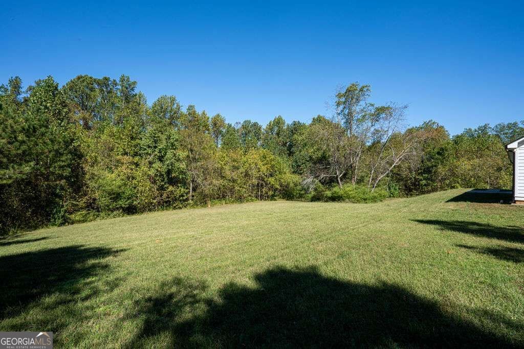 161 Roscoe Collette Road Dawsonville - Photo 31