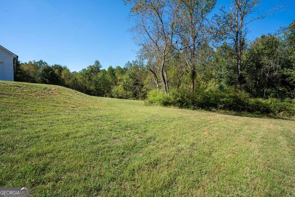 161 Roscoe Collette Road Dawsonville - Photo 33