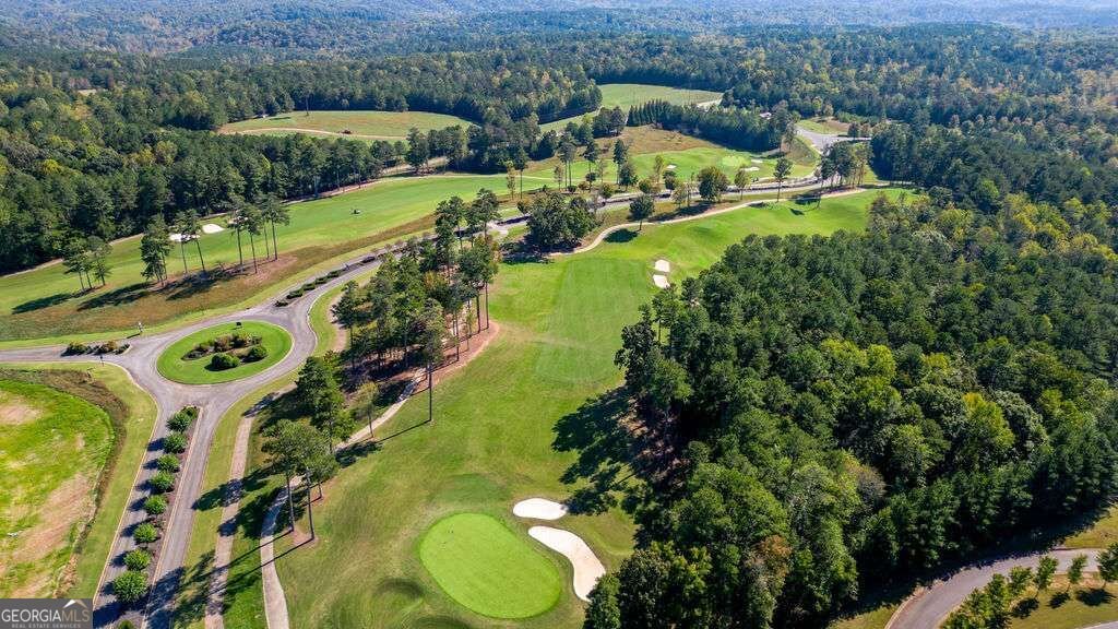 161 Roscoe Collette Road Dawsonville - Photo 34