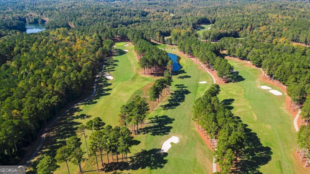161 Roscoe Collette Road Dawsonville - Photo 35