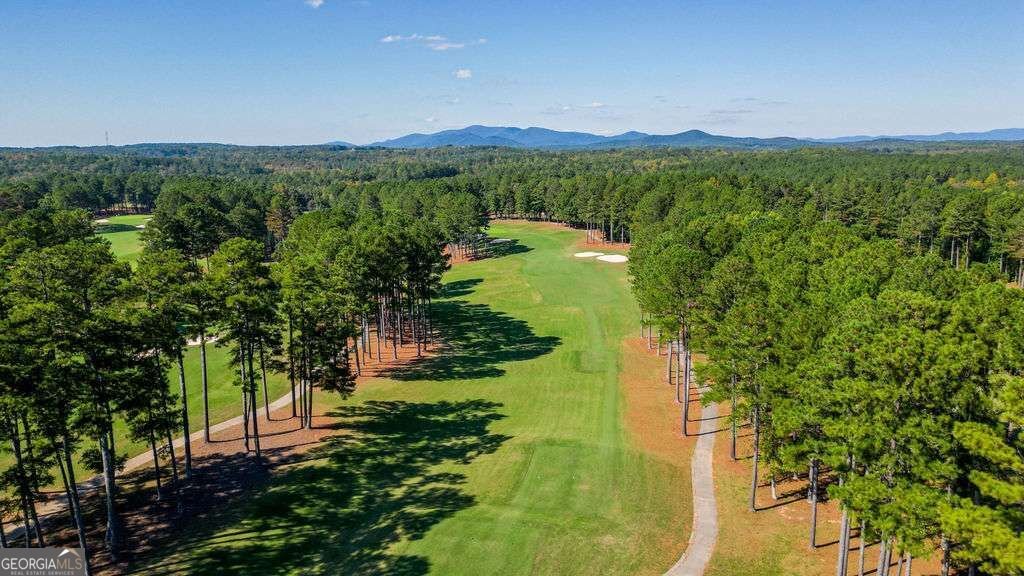 161 Roscoe Collette Road Dawsonville - Photo 36