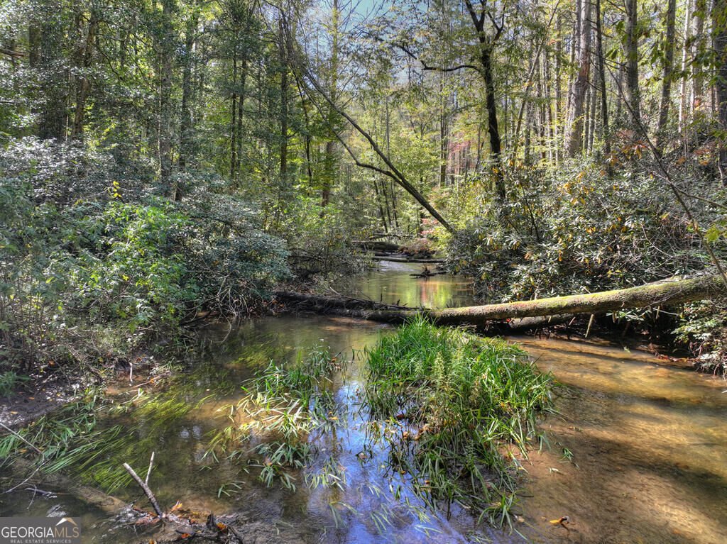 931 Foster Branch Road Epworth - Photo 27