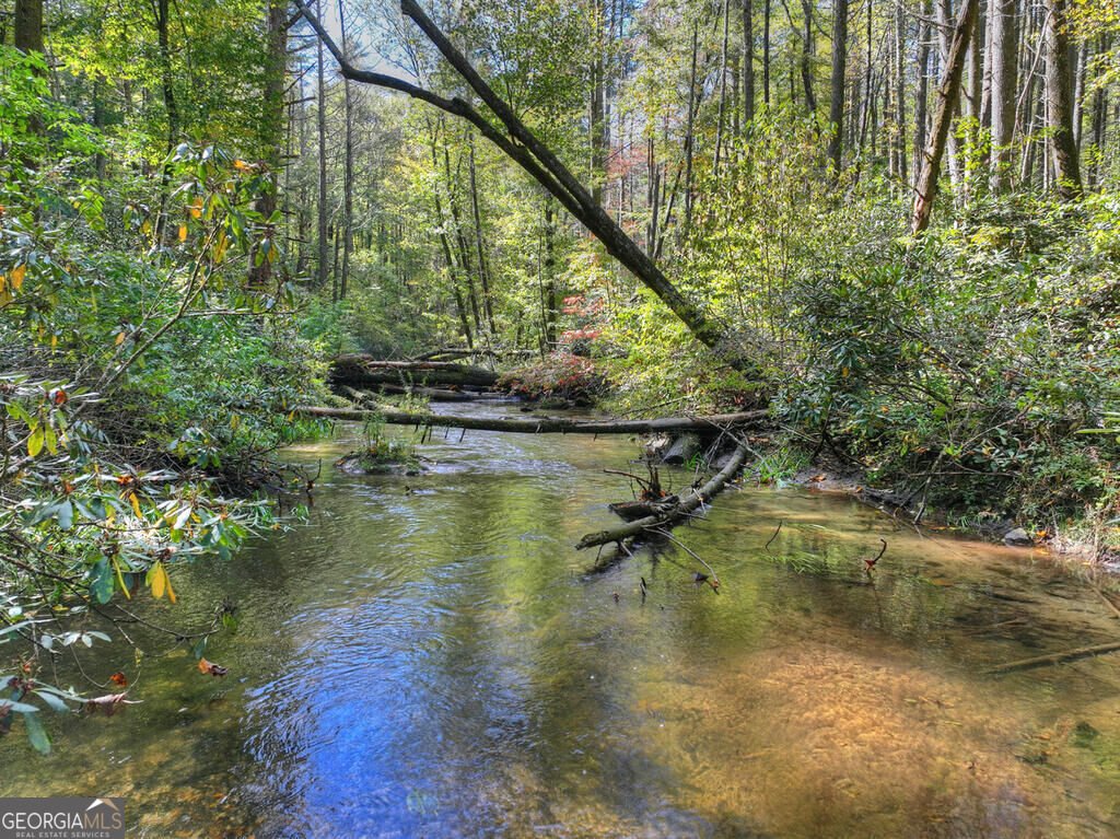 931 Foster Branch Road Epworth - Photo 28