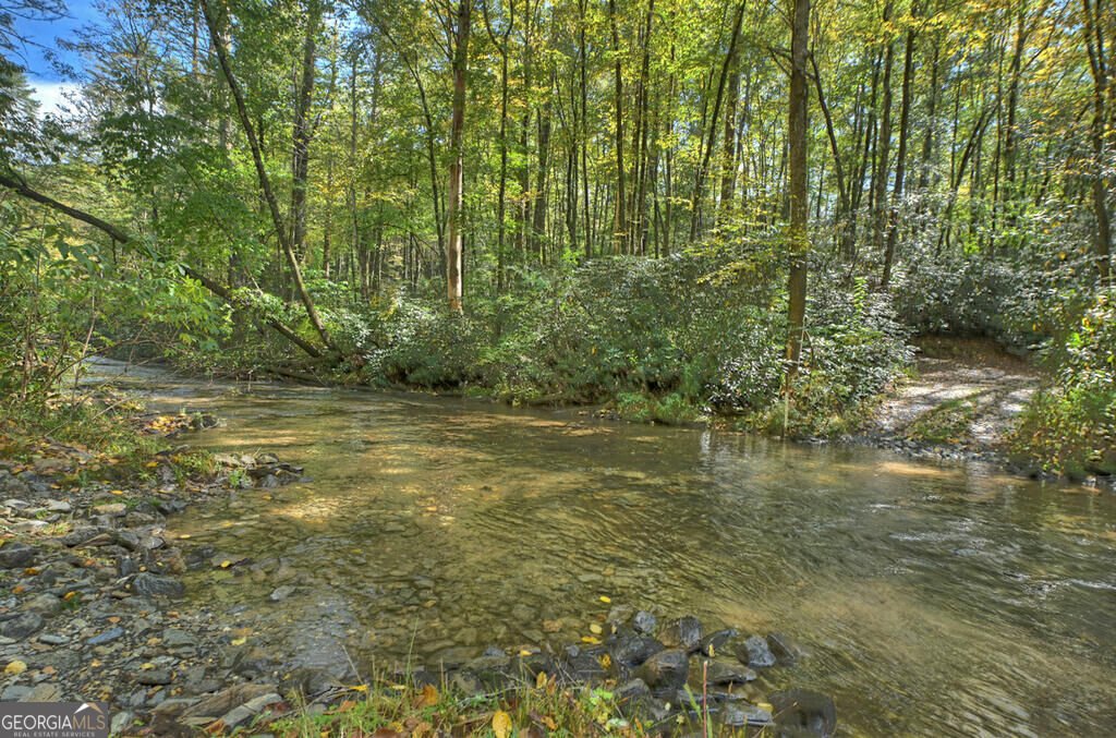 931 Foster Branch Road Epworth - Photo 40