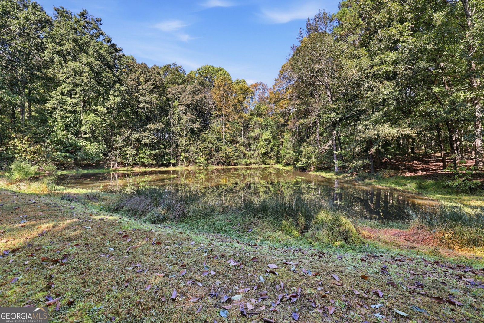 2774 Damascus Baldwin - Photo 26