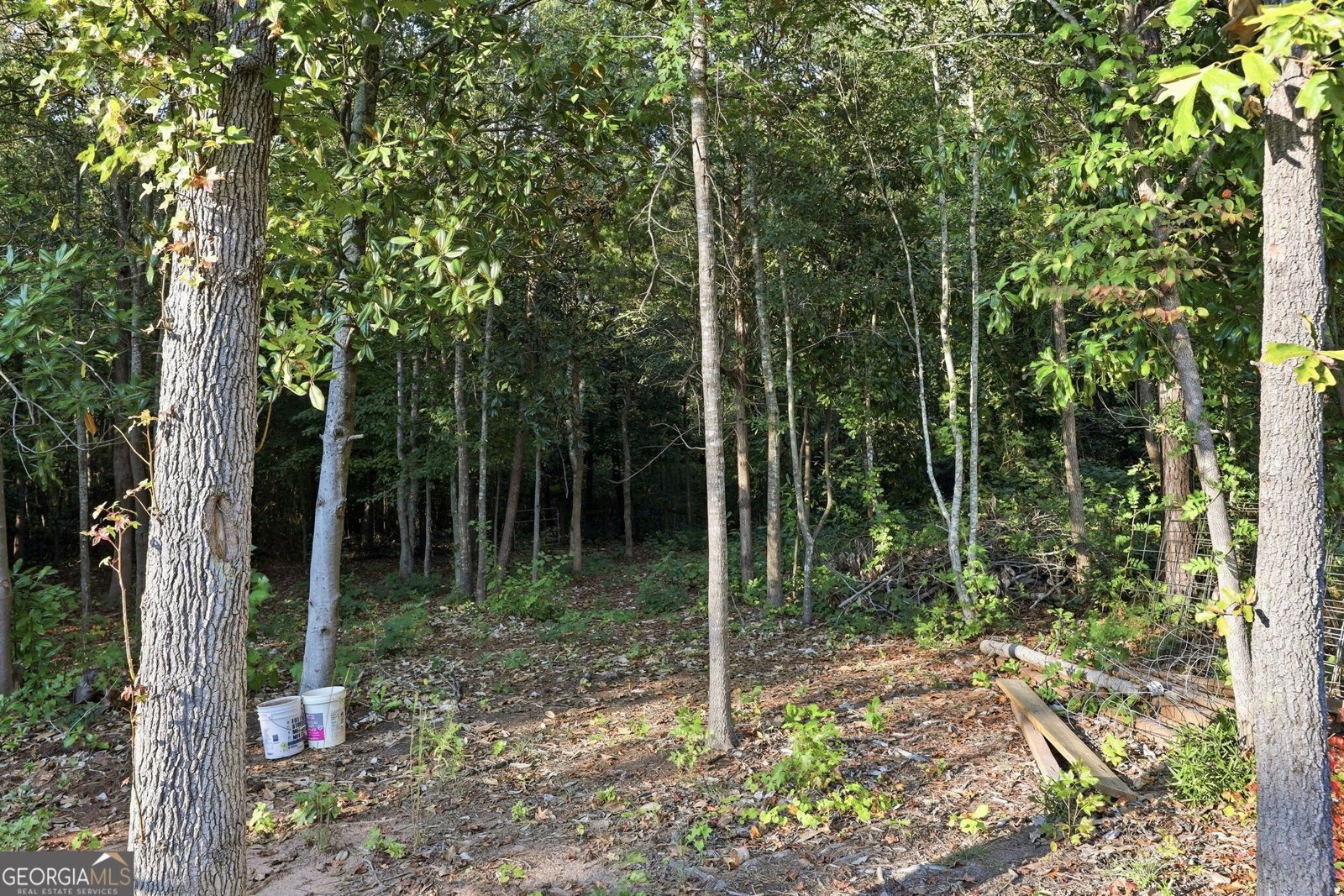 251 Quail Forest Circle Toccoa - Photo 37