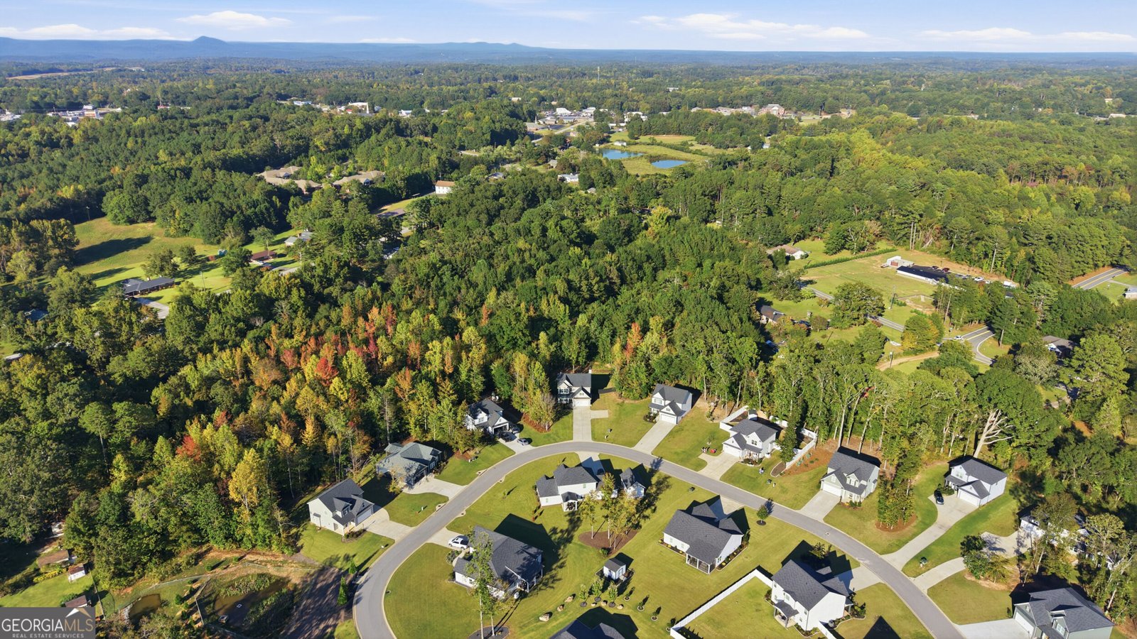 251 Quail Forest Circle Toccoa - Photo 43